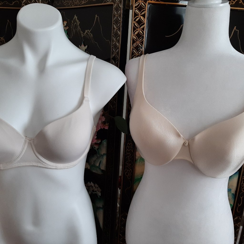 Two Underwire Bras